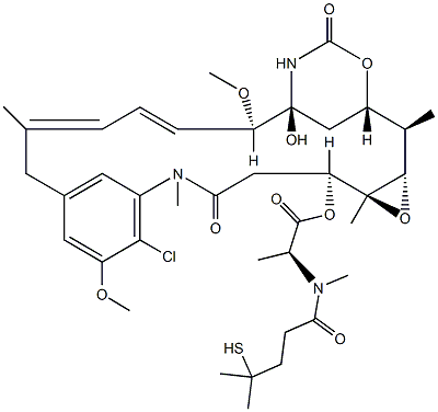 DM4 Struktur