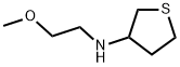 N-(2-methoxyethyl)thiolan-3-amine,1019499-22-9,结构式