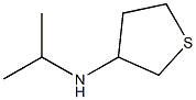N-异丙基四氢噻吩-3-胺,1019528-49-4,结构式