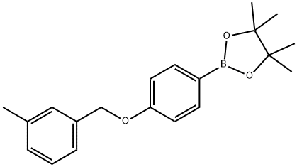 4,4,5,5-tetramethyl-2-(4-((3-methylbenzyl)oxy)phenyl)-1,3,2-dioxaborolane Structure