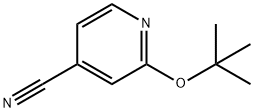 2-(叔-丁氧基)吡啶-4-甲腈,1037131-17-1,结构式