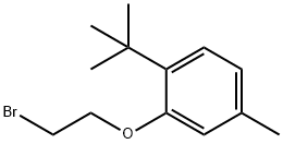 2-(2-bromoethoxy)-1-tert-butyl-4-methylbenzene|2-(2-bromoethoxy)-1-tert-butyl-4-methylbenzene