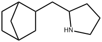 2-{bicyclo[2.2.1]heptan-2-ylmethyl}pyrrolidine, 1053071-17-2, 结构式