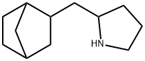 2-{bicyclo[2.2.1]heptan-2-ylmethyl}pyrrolidine 结构式