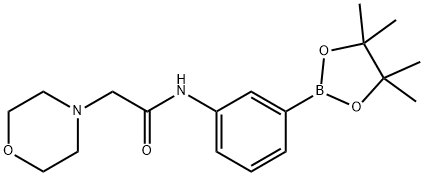 2-morpholino-N-(3-(4,4,5,5-tetramethyl-1,3,2-dioxaborolan-2-yl)phenyl)acetamide Struktur