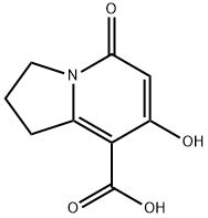 7-羟基-5-氧代-1,2,3,5-四氢中氮茚-8-羧酸 结构式