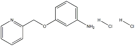 3-(pyridin-2-ylmethoxy)aniline dihydrochloride|3-[(吡啶-2-基)甲氧基]苯胺二盐酸