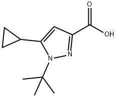 1-tert-butyl-5-cyclopropyl-1H-pyrazole-3-carboxylic acid|1-叔丁基-5-环丙基-1H-吡唑-3-羧酸