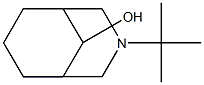 3-tert-butyl-3-azabicyclo[3.3.1]nonan-9-ol,1177352-38-3,结构式