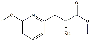 METHYL (2R)-2-AMINO-3-(6-METHOXYPYRIDIN-2-YL)PROPANOATE 结构式