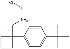 1-[4-(叔丁基)苯基]环丁烷甲胺盐酸盐, 1235440-78-4, 结构式