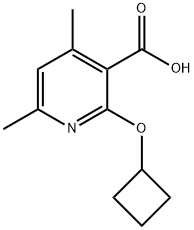 2-cyclobutoxy-4,6-dimethylpyridine-3-carboxylic acid, 1247523-42-7, 结构式