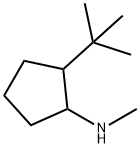 2-tert-butyl-N-methylcyclopentan-1-amine Structure