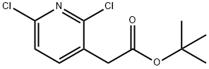 tert-butyl 2-(2,6-dichloropyridin-3-yl)acetate Structure