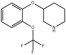 3-(2-(Trifluoromethoxy)phenoxy)piperidine 结构式