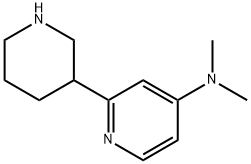 N,N-dimethyl-2-(piperidin-3-yl)pyridin-4-amine 结构式