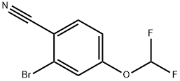 2-Bromo-4-(difluoromethoxy)benzonitrile, 1261818-72-7, 结构式