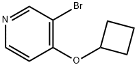 3-Bromo-4-(cyclobutoxy)pyridine 化学構造式