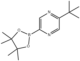 2-(tert-butyl)-5-(4,4,5,5-tetramethyl-1,3,2-dioxaborolan-2-yl)pyrazine,1309982-44-2,结构式