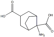 8-aminobicyclo[3.2.1]octane-3,8-dicarboxylic acid 化学構造式