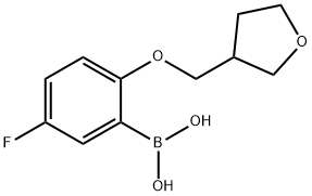 Boronic acid, B-[5-fluoro-2-[(tetrahydro-3-furanyl)methoxy]phenyl]- Structure