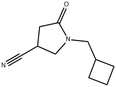 1-(环丁基甲基)-5-氧亚基吡咯烷-3-甲腈,1340167-38-5,结构式