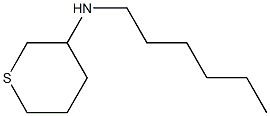 N-hexyltetrahydro-2H-thiopyran-3-amine Structure