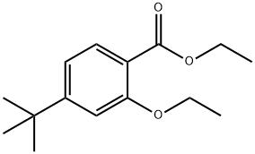 ethyl 4-tert-butyl-2-ethoxybenzoate|ethyl 4-tert-butyl-2-ethoxybenzoate