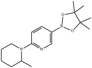 2-(2-Methylpiperidin-1-yl)pyridine-5-boronic acid pinacol ester Struktur