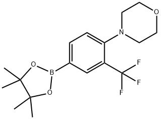 3-(Trifluoromethyl)-4-(morpholino)phenylboronic acid pinacol ester 结构式