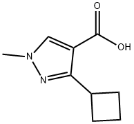 3-cyclobutyl-1-methyl-1H-pyrazole-4-carboxylic acid,137614-13-2,结构式