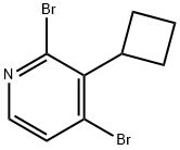 2,4-Dibromo-3-(cyclobutyl)pyridine 结构式