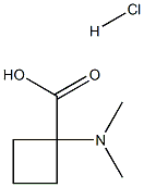 1-(二甲氨基)环丁烷-1-羧酸盐酸,1394041-58-7,结构式