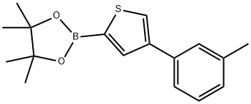 4-(3-Tolyl)thiophene-2-boronic acid pinacol ester 化学構造式