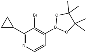 2-Cyclopropyl-3-bromopyridine-4-boronic acid pinacol ester 结构式