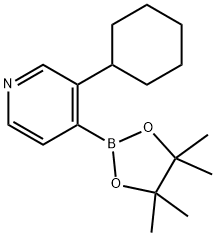 3-(Cyclohexyl)pyridine-4-boronic acid pinacol ester 结构式