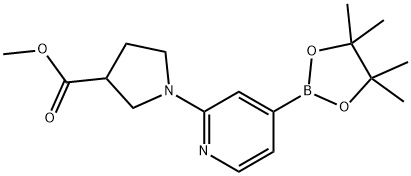3-Pyrrolidinecarboxylic acid, 1-[4-(4,4,5,5-tetramethyl-1,3,2-dioxaborolan-2-yl)-2-pyridinyl]-, methyl ester Struktur