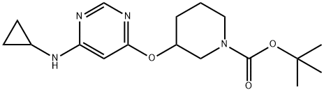 tert-butyl 3-((6-(cyclopropylamino)pyrimidin-4-yl)oxy)piperidine-1-carboxylate 结构式