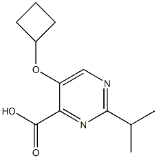 5-cyclobutoxy-2-(propan-2-yl)pyrimidine-4-carboxylic acid Structure