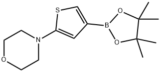 2-(Morpholino)thiophene-4-boronic acid pinacol ester Struktur