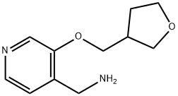 [3-(oxolan-3-ylmethoxy)pyridin-4-yl]methanamine|{3-[(噁戊环-3-基)甲氧基]吡啶-4-基}甲胺