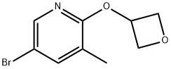 5-Bromo-3-methyl-2-(oxetan-3-yloxy)-pyridine|