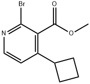 2-Bromo-3-methoxycarbonyl-4-cyclobutylpyridine Structure