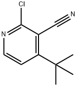 2-Chloro-3-cyano-4-(tert-butyl)pyridine Structure