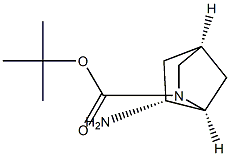 tert-butyl (1S,4S,6R)-6-amino-2-azabicyclo[2.2.1]heptane-2-carboxylate Struktur