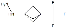 [3-(trifluoromethyl)bicyclo[1.1.1]pentan-1-yl]hydrazine,1705263-90-6,结构式