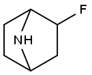 2-fluoro-7-azabicyclo[2.2.1]heptane|2-fluoro-7-azabicyclo[2.2.1]heptane