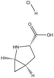 (1R,3S,5R)-2-AZABICYCLO[3.1.0]HEXANE-3-CARBOXYLIC ACID HYDROCHLORIDE Structure