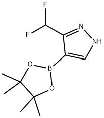 3-(difluoromethyl)-4-(4,4,5,5-tetramethyl-1,3,2-dioxaborolan-2-yl)-1H-pyrazole Struktur