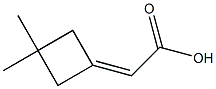 2-(3,3-dimethylcyclobutylidene)acetic acid 结构式